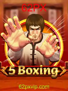 5Boxing